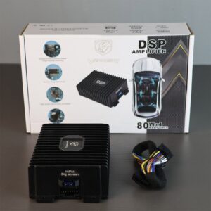 Viper DSP Car Audio Amplifier
